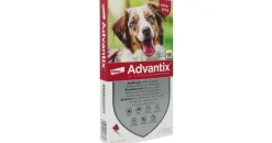Advantix Spot-on Hund