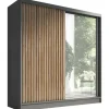 A&J MöbelLand Schwebetürenschrank LINA 2-türig Schrank 200 cm mit Spiegel Grau