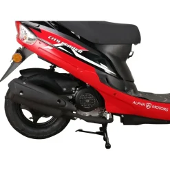 Alpha Motors CityLeader