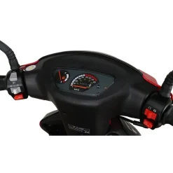 Alpha Motors CityLeader 50 ccm 25 kmh EURO 5 inkl. Topcase
