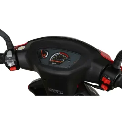 Alpha Motors CityLeader 50 ccm 2,7 PS 25 km/h schwarz