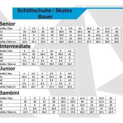 Bauer X-LP Skate Senior 44,5
