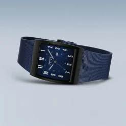 BERING Solar 16433