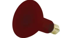 Beurer Infrared R95 100W E27