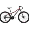 Bikestar Hardtail Mountainbike 26" grau/rot 21-Gang Scheibenbremse