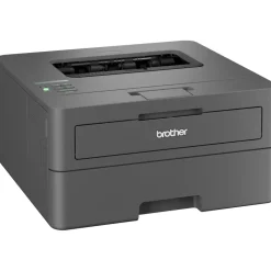 Brother HL-L2400DW