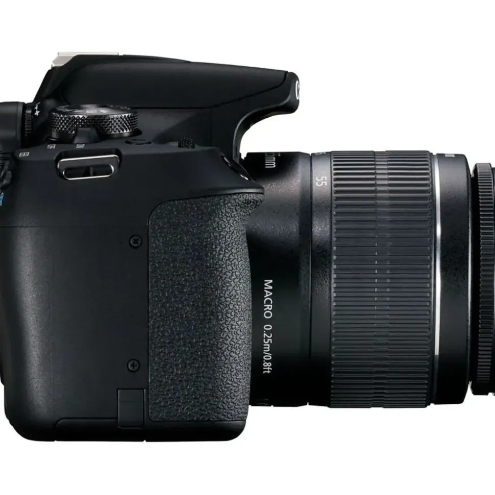 Canon EOS 2000D + EF-S 18-55 mm IS II + 50 mm STM