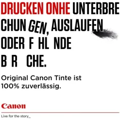 Canon PG-545XL schwarz + CL-546XL CMY