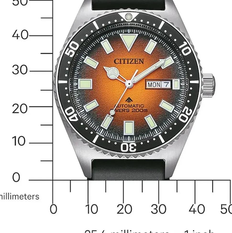 Citizen Promaster Mechanical Diver NY0120-01ZE