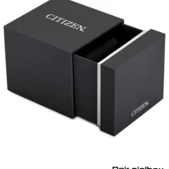Citizen TSUYOSA Automatik Edelstahl 40 mm NJ0230-59L