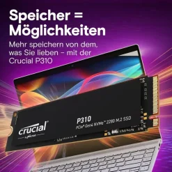 Crucial P310