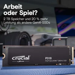 Crucial P310