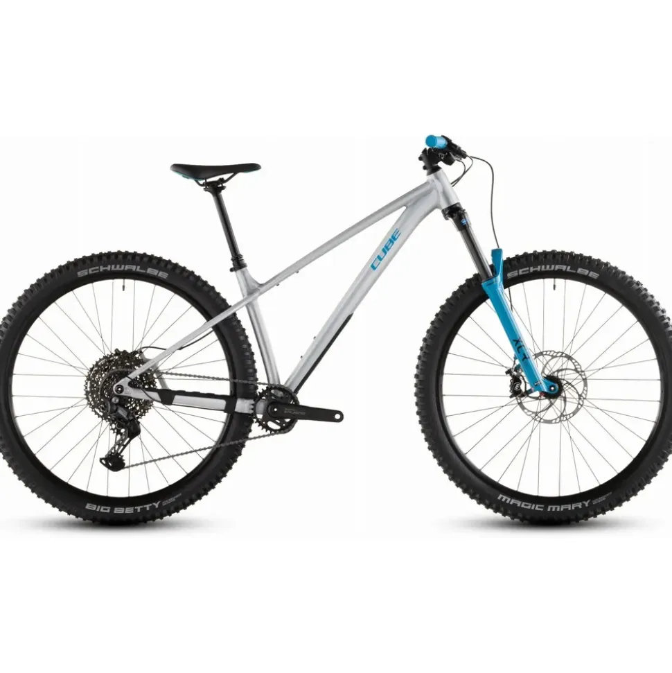 Cube Reaction TM ONE 2026 29 Zoll RH XL Unisex grau