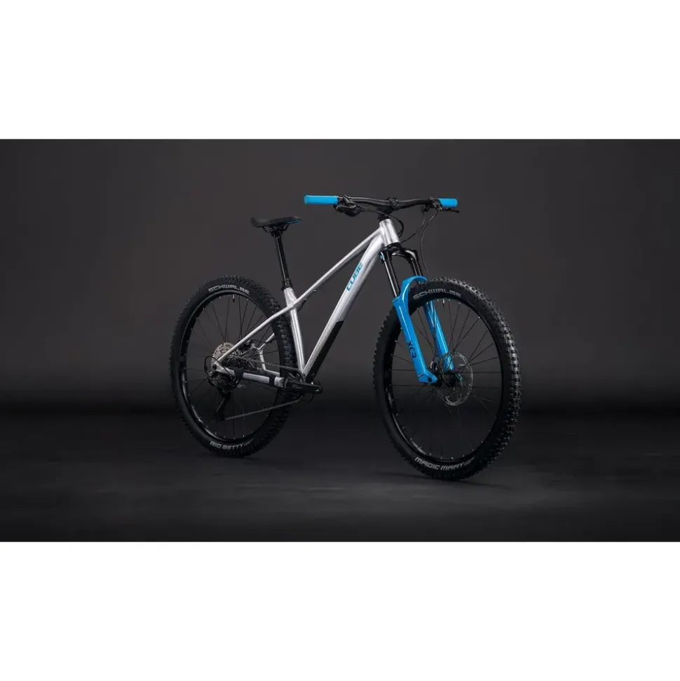 Cube Reaction TM ONE 2026 29 Zoll RH XL Unisex grau
