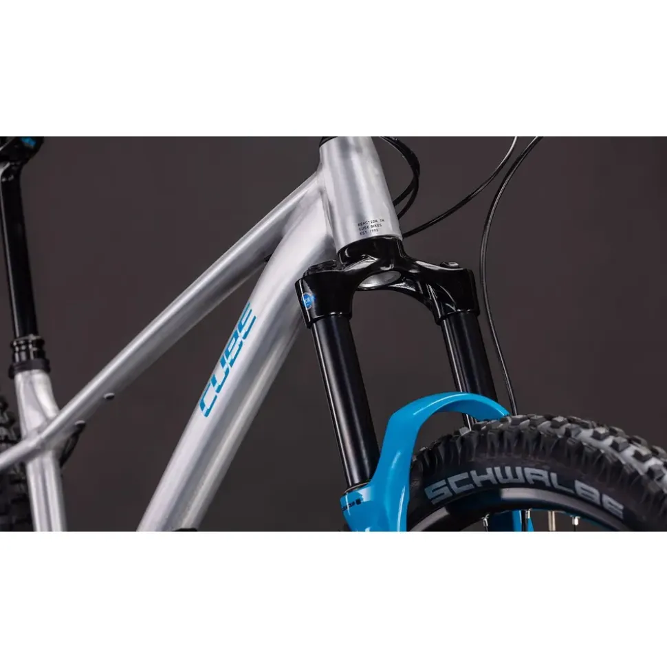 Cube Reaction TM ONE 2026 29 Zoll RH XL Unisex grau
