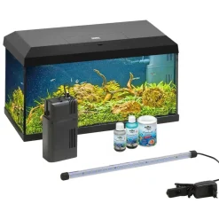 Dehner Aqua Start 60 Komplettaquarium mit Futter/Pflege schwarz
