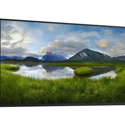 Dell Pro 24 Plus P2425