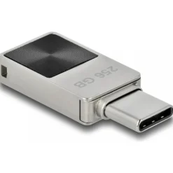 DeLock Mini USB Stick, 256GB,