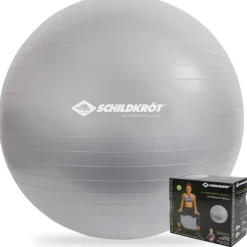 Donic Schildkröt Gymnastikball Silber 65 cm