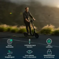 Egret E-Scooter X core grau