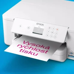 Epson WorkForce Pro WF-M4119DW schwarz