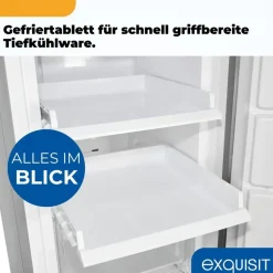 Exquisit GS5271-NF-H-040D Silber