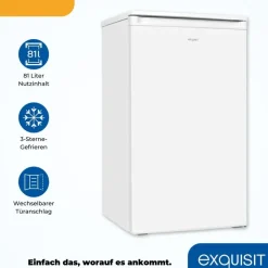 Exquisit KS117-3-040 Kühlschrank