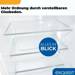 Exquisit KS516-V-H-010 Kühlschrank