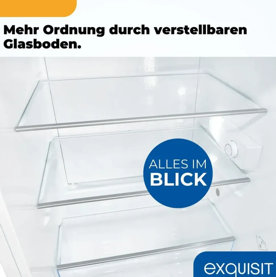 Exquisit KS516-V-H-010 Kühlschrank