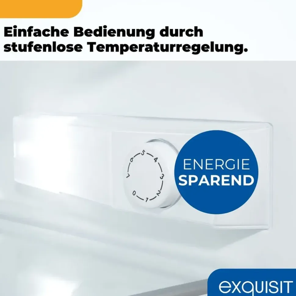 Exquisit KS516-V-H-010 Kühlschrank