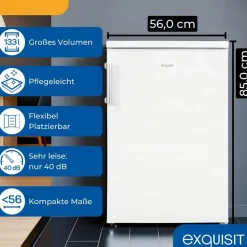 Exquisit KS516-V-H-010 Kühlschrank
