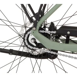 Fischer CITA 2403 28 Zoll RH 43 cm grün