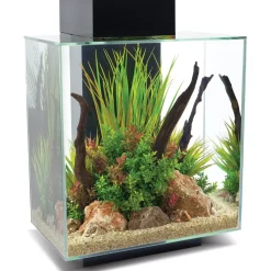 Fluval Edge 2.0 46 l Nanoaquarium schwarz