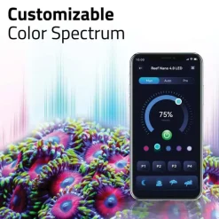 Fluval Nano Reef 4,0 25W Aquariumbeleuchtung Schwarz