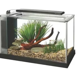 Fluval Spec 5 Nano 19,0 l Aquarium schwarz