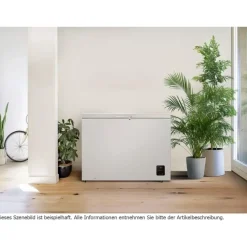 Gorenje FH30EAW