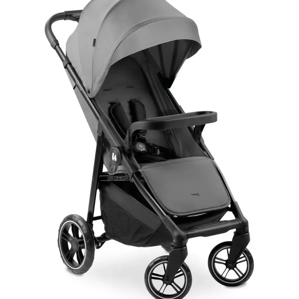 hauck Shop N Care Grau