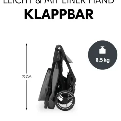 hauck Shop N Care Grau