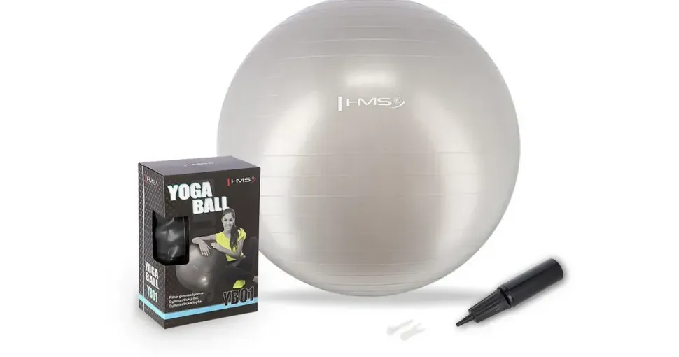 HMS Gymnastikball Grau 65 cm