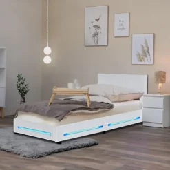 Home Deluxe Asteroid LED