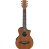 IBANEZ EWP12EWB-OPN Open Pore Natural - Saiteninstrument