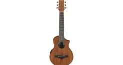 IBANEZ EWP12EWB-OPN Open Pore Natural - Saiteninstrument