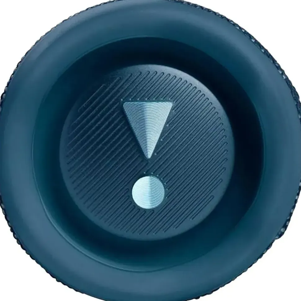 JBL Flip 6