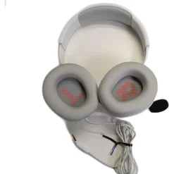 JBL Quantum 100M2
