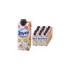 Joyce 12er-Pack Fruchtsaftgetränk »Iso Power« isotonisch 0,5 L