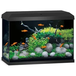 JUWEL AQUARIUM Primo 70 2.0 Zubehör schwarz