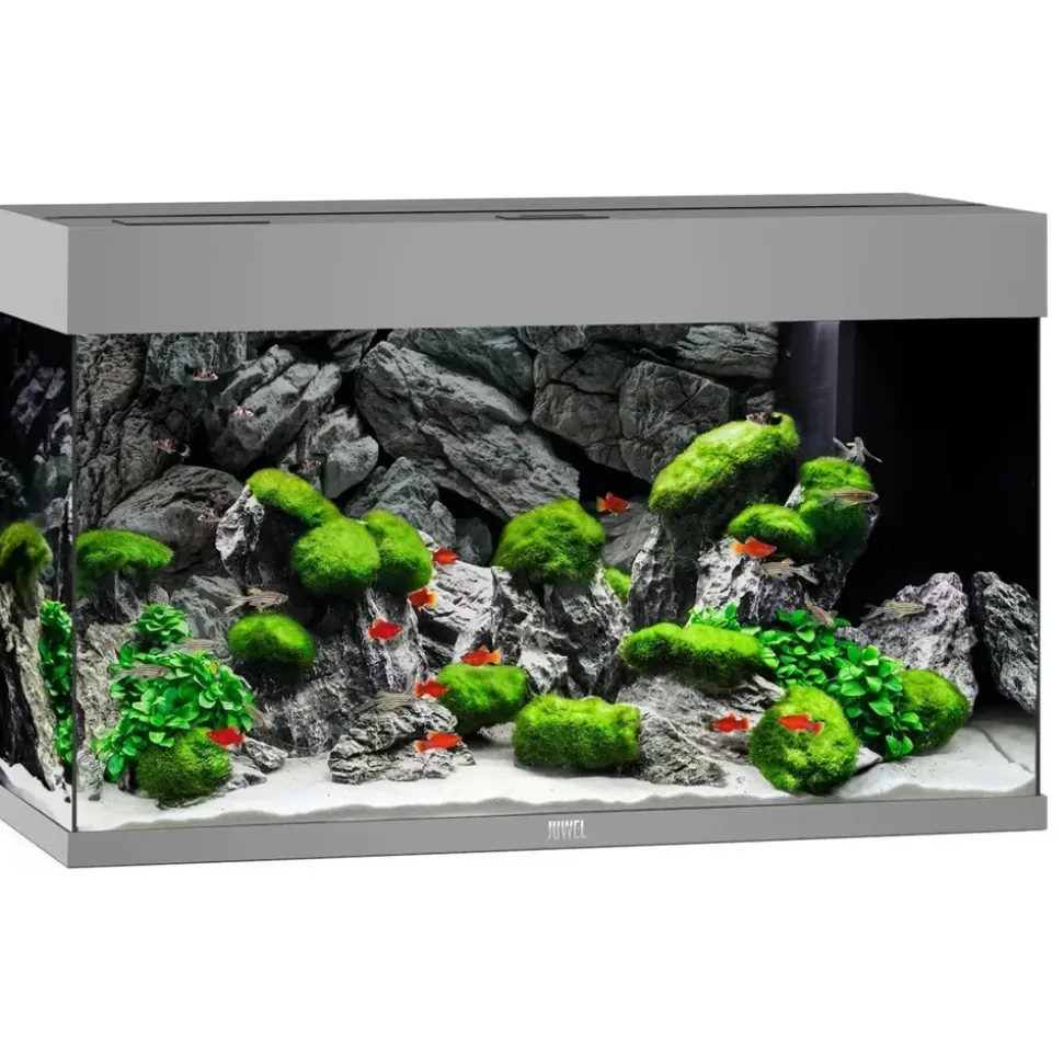 JUWEL AQUARIUM Rio 125 Komplett Aquarium grau