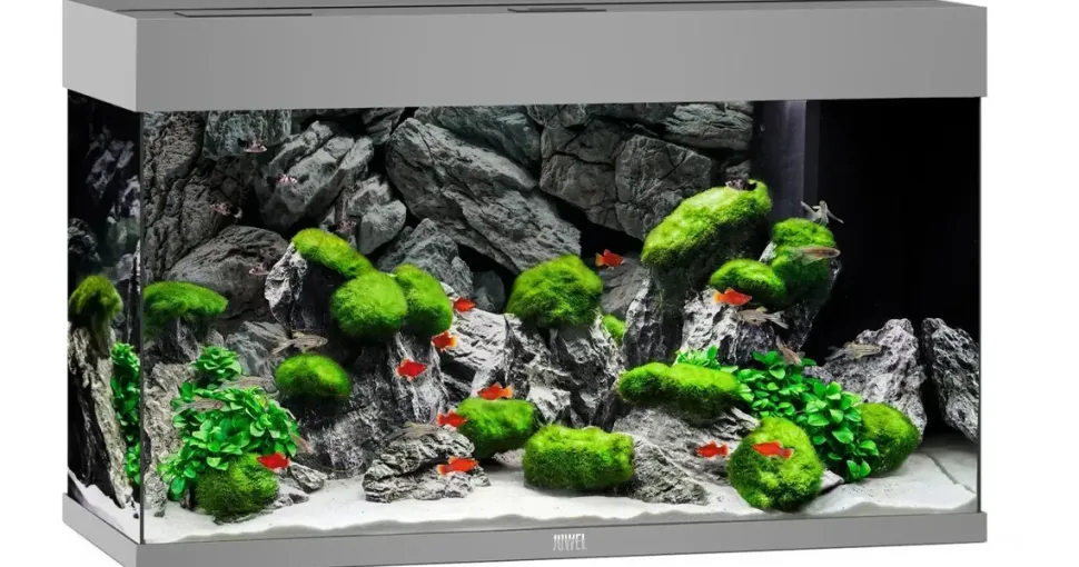 JUWEL AQUARIUM Rio 125 Komplett Aquarium grau