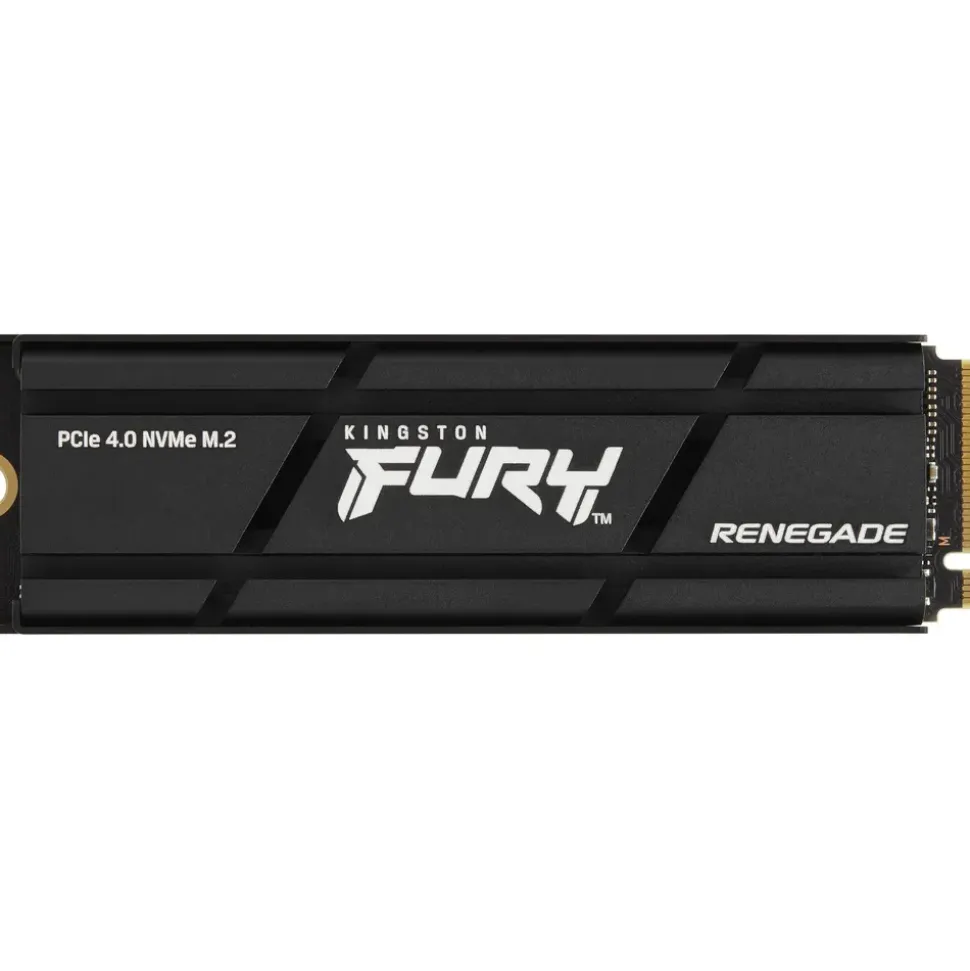 Kingston Fury Renegade