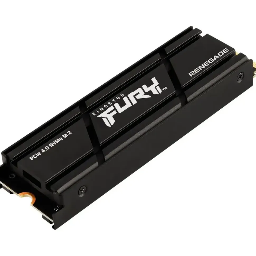 Kingston Fury Renegade